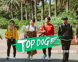 国产黑料《TOP DOG》免费在线观看
