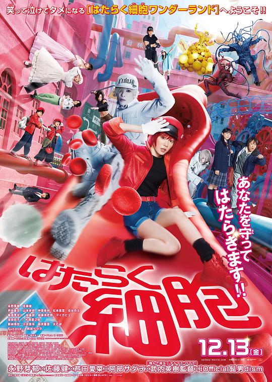 国产探花视频《工作细胞 真人版 はたらく細胞》免费在线观看