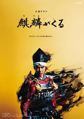 外网天堂《麒麟来了 麒麟がくる》免费在线观看
