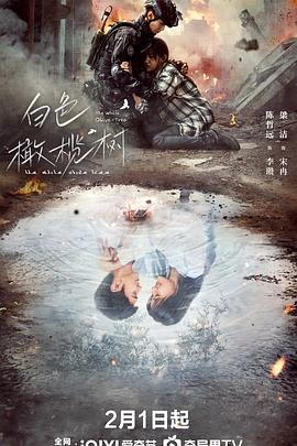 外网天堂《白色橄榄树》免费在线观看