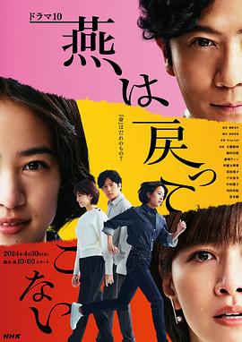 国产探花视频《燕子不再归来》免费在线观看