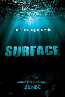 国产黑料《水下之秘 Surface》免费在线观看