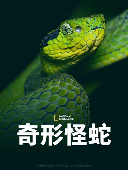 外网天堂《奇形怪蛇》免费在线观看